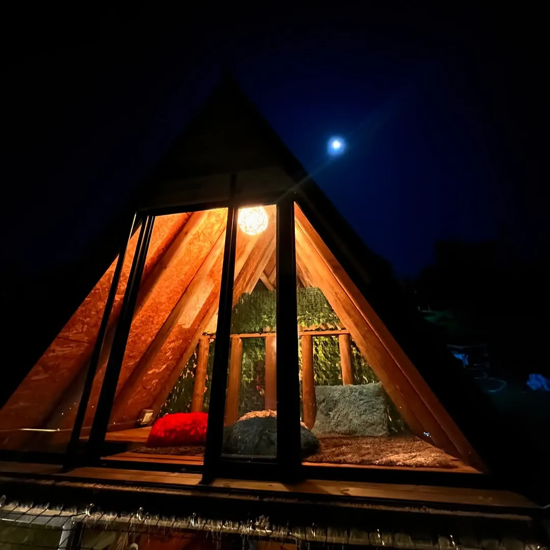 Natu Bruma - Cabin
